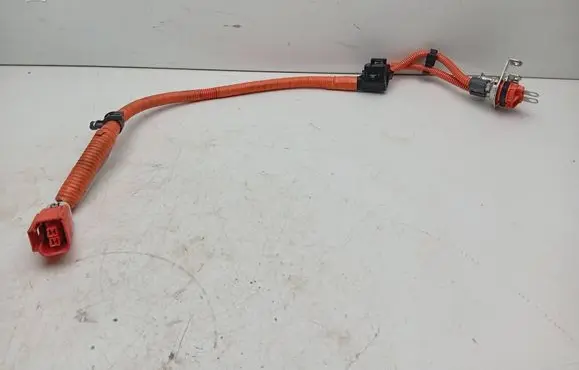 Lexus RX 450H Other wiring loom 821H248010