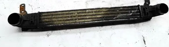 Volkswagen Sharan Intercooler radiator 132002748