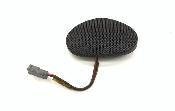 Front door speaker