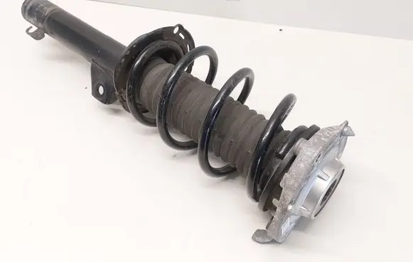 Volkswagen ID.5 Front shock absorber with coil spring 1EA412021BQ