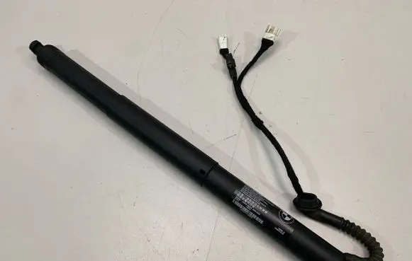 Tailgate/trunk strut/damper