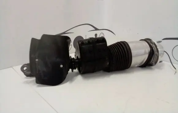 Audi E-tron GT Rear shock absorber/damper 9J1616037