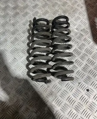 Rear coil spring