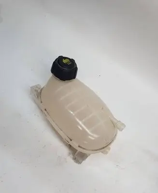 Dacia Sandero III Coolant expansion tank/reservoir 217102572R