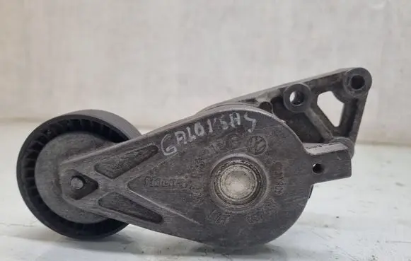 Volkswagen Sharan Timing belt/chain tensioner 038903315