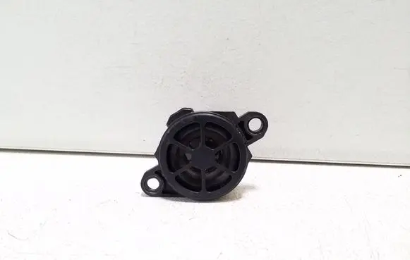 Nissan Qashqai J12 Panel speaker 248326RA0A