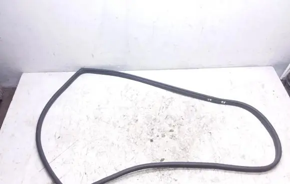 KIA Sportage Rear door rubber seal (on body) 
