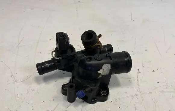 Thermostat/thermostat housing
