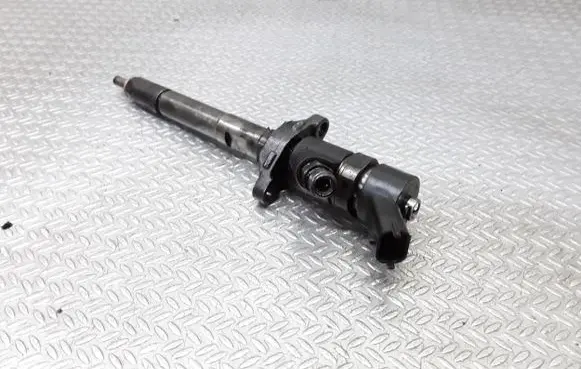 Citroen C5 Fuel injector 0445110259