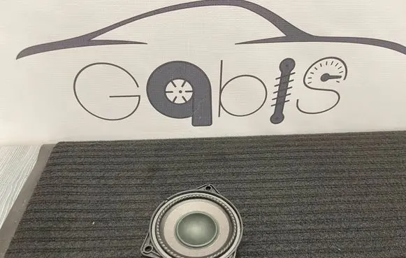 Porsche Macan (95B) Front door speaker 7PP035415F