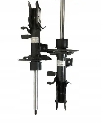 Ford Focus Front shock absorber/damper