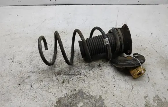 Front coil spring
