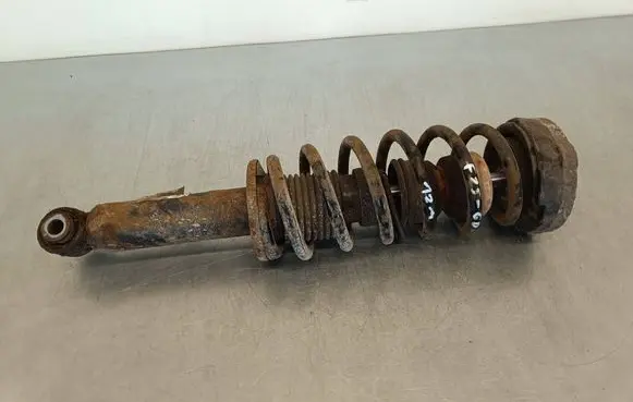 BMW X3 F25 Rear shock absorber with coil spring