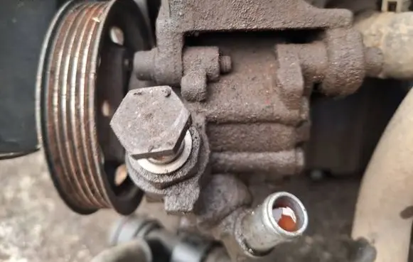 Volkswagen PASSAT B5 Power steering pump