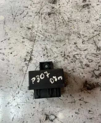 Peugeot 307 Fuel injection pump control unit/module 240107