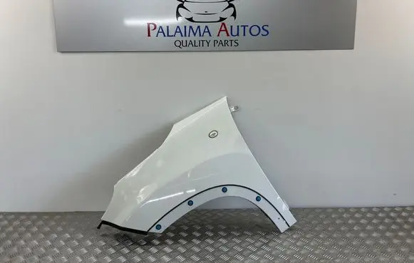 Fiat 500L Fender