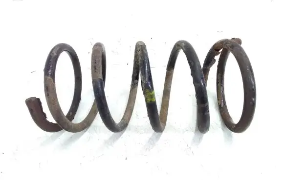 KIA Carnival Front coil spring