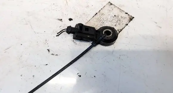 Skoda Roomster (5J) Detonation knock sensor 030905377C