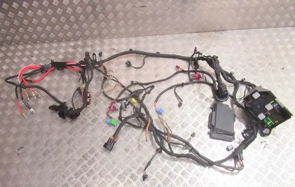 Mercedes-Benz AMG GT 4 x290 w290 Positive wiring loom 