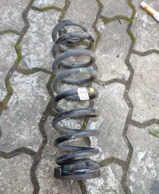 Rear coil spring