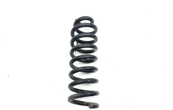 Rear coil spring