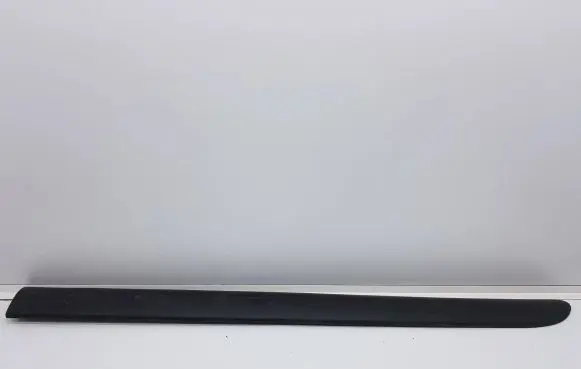 Front door trim (molding)