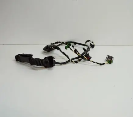 Volkswagen Jetta VII Other wiring loom 17A971694G
