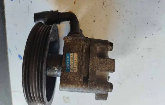 Suzuki Grand Vitara II Power steering pump 4910065J00 55233022