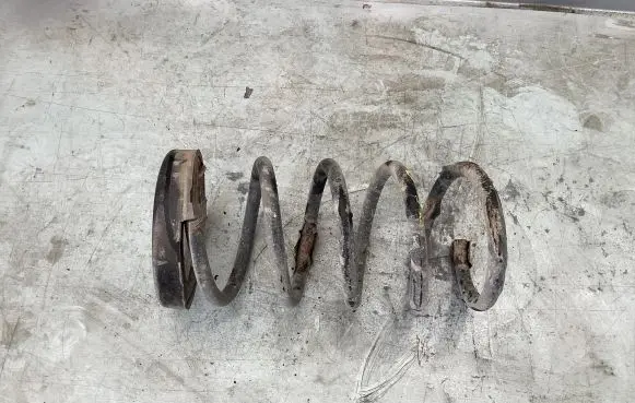 Rear coil spring