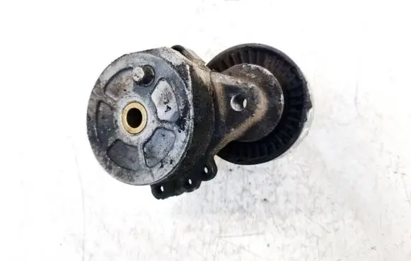 Citroen C8 Generator/alternator belt tensioner