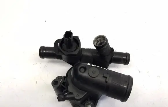 Thermostat/thermostat housing
