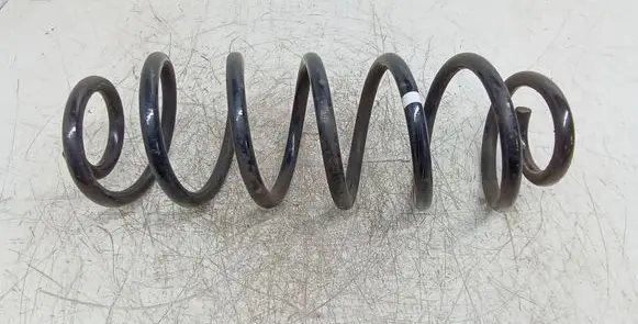 Volkswagen Golf VI Rear coil spring