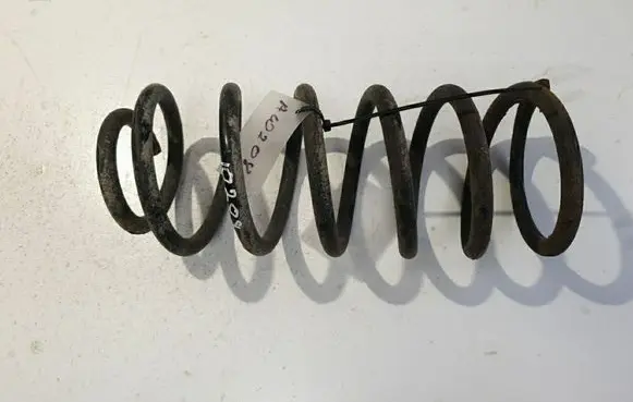 Rear coil spring