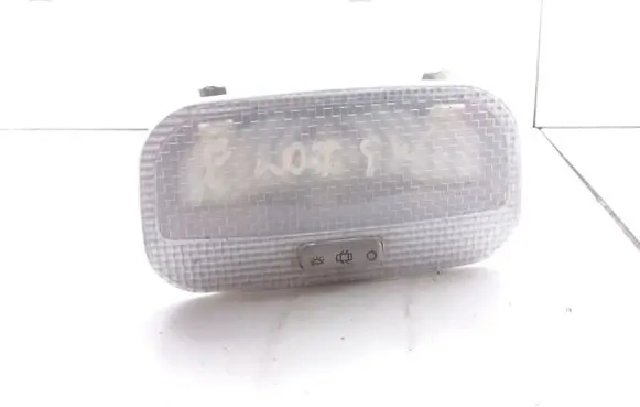 Peugeot 207 Front seat light
