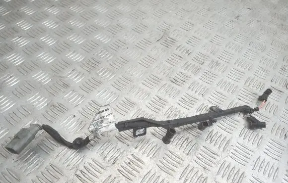 Citroen C3 Picasso Glow plug wires 9670855680