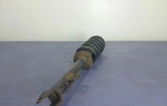 Dodge Charger Front shock absorber/damper 04895519AE