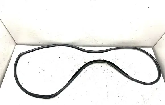 BMW X5 E70 Rubber seal rear door 7207222