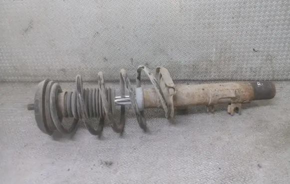 Citroen C2 Front shock absorber with coil spring