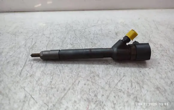Hyundai ix35 Fuel injector 0445110374