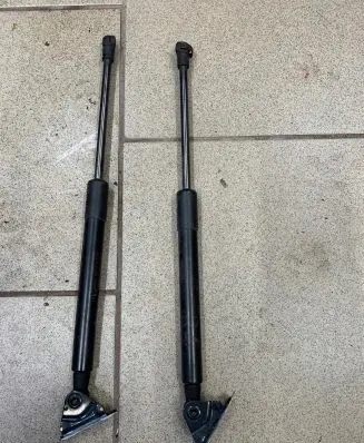 Tailgate strut