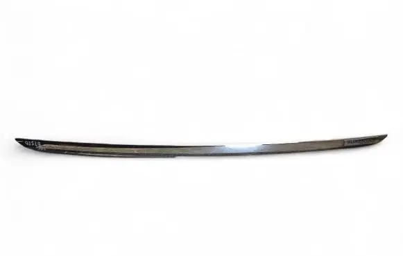 Volkswagen PASSAT B7 Tailgate trim 3AE853955A