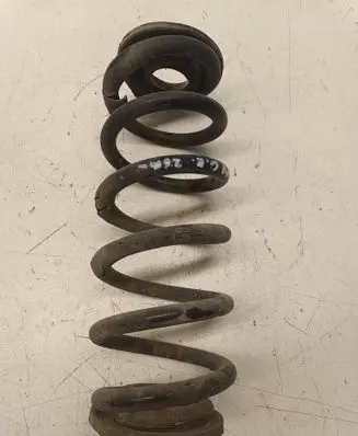Rear coil spring