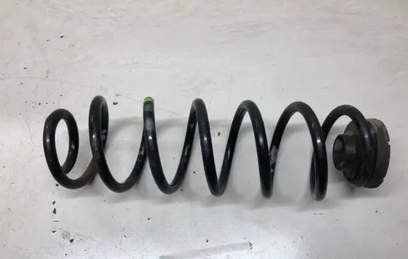 Rear coil spring