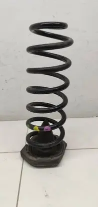 Rear coil spring