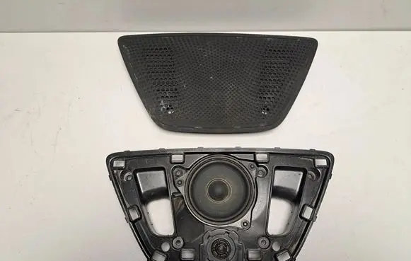 Panel speaker