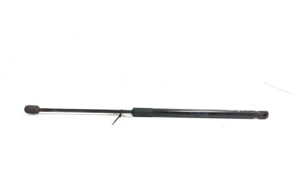 Tailgate strut