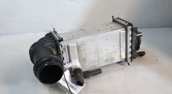 Skoda Fabia Mk4 (6VA) EGR valve cooler