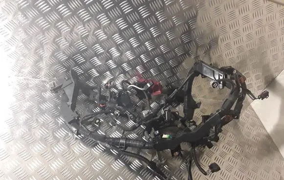 Toyota Verso-S Other wiring loom