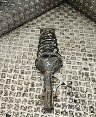 Rear shock absorber with coil spring