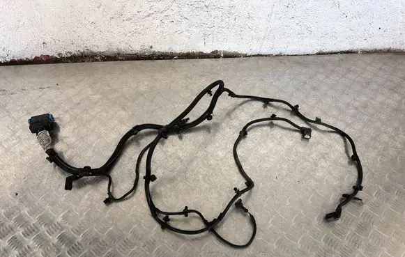 Maserati Ghibli Other wiring loom 06700378670